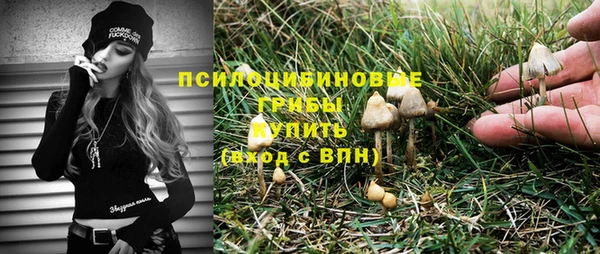 не бодяженный Алзамай