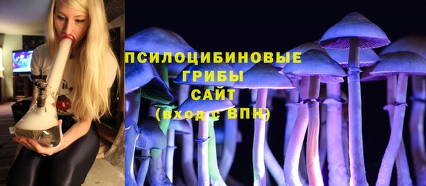 соль ск Алексин