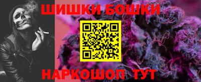 тгк Кингисепп