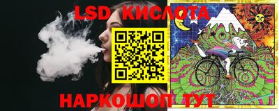 тгк Кингисепп