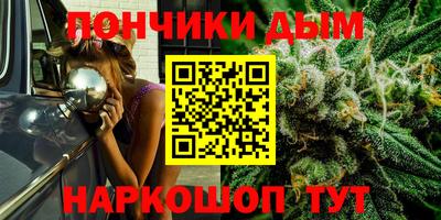 тгк Кингисепп