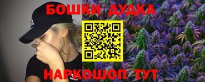 тгк Кингисепп