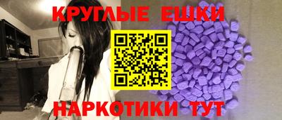 тгк Кингисепп
