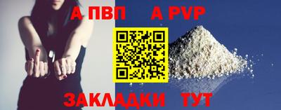 тгк Кингисепп