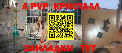 тгк Кингисепп
