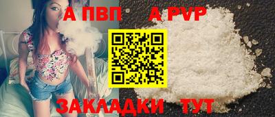 тгк Кингисепп