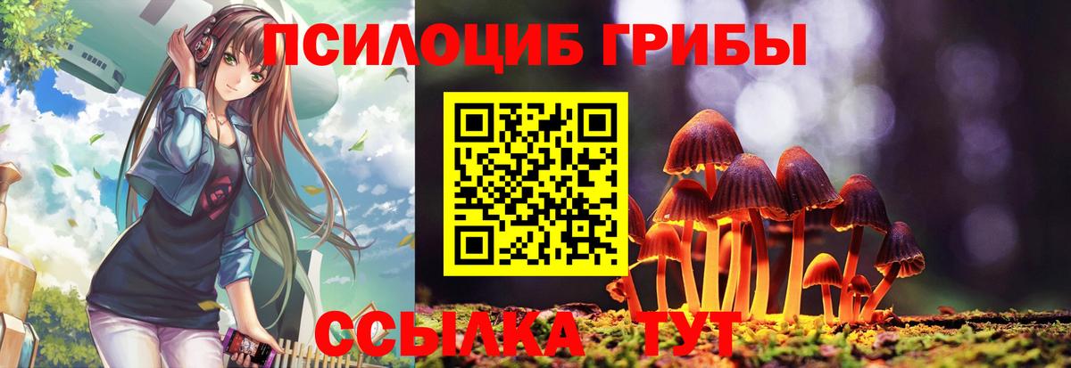 Галлюциногенные грибы MAGIC MUSHROOMS  Псилоцибиновые грибы Cubensis  Вход с VPN  Коряжма 